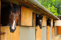 free Brynteg stable construction quotes
